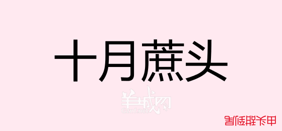 粵語問答比賽下半場，你夠唔夠生鬼幽默？！