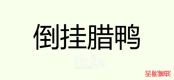 粵語問答比賽下半場，你夠唔夠生鬼幽默？！