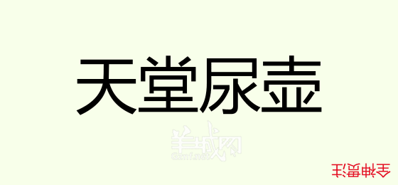 粵語問答比賽下半場，你夠唔夠生鬼幽默？！