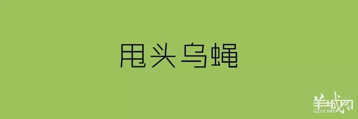 講粵語嘅人，最鐘意“指桑罵槐”！