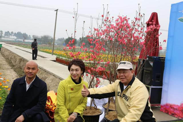 離廣佛最近的高山花海，情人節(jié)男朋友不帶你去就分手吧