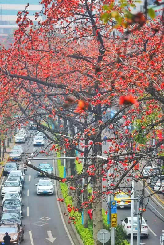 從前有個廣東阿媽，日日諗住點慳家