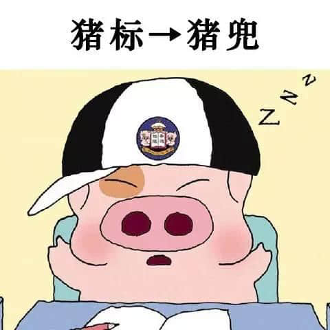 老餅粵語VS新興潮語，你覺得邊個到肉啲？