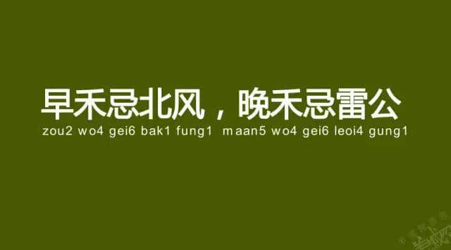 廣州老司機(jī)帶路，令你行少幾條彎路