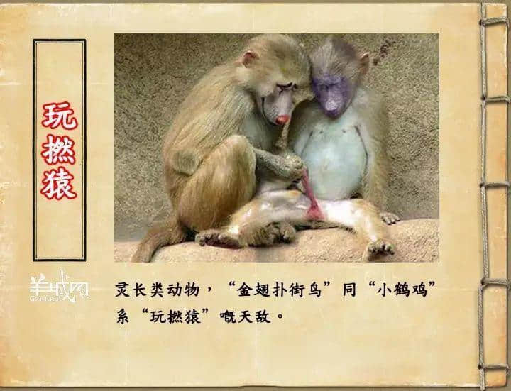 如果JK羅琳系廣州人，《神奇動(dòng)物在哪里》至少出7集！