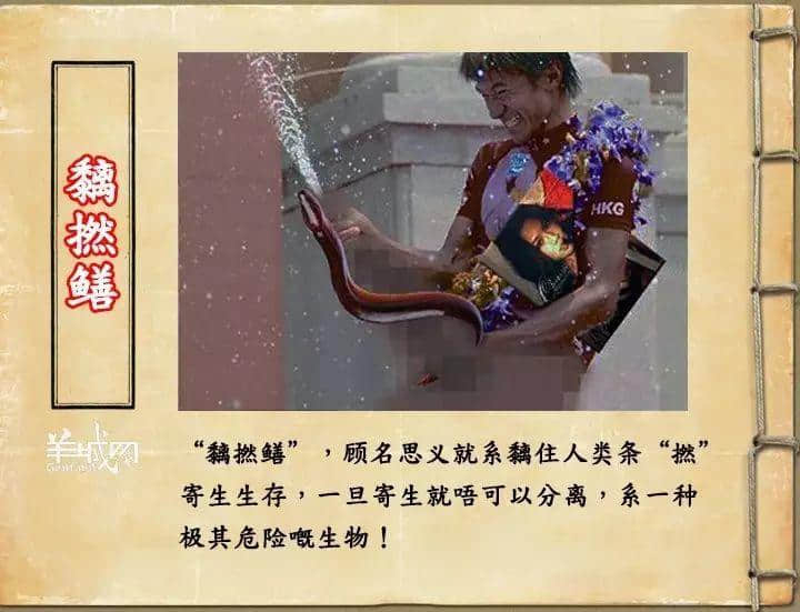 如果JK羅琳系廣州人，《神奇動(dòng)物在哪里》至少出7集！