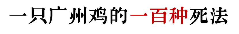 沒(méi)有一只雞能活著走出廣州