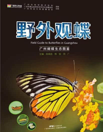 這個六一，用“十本好書”給孩子點(diǎn)亮快樂童年……