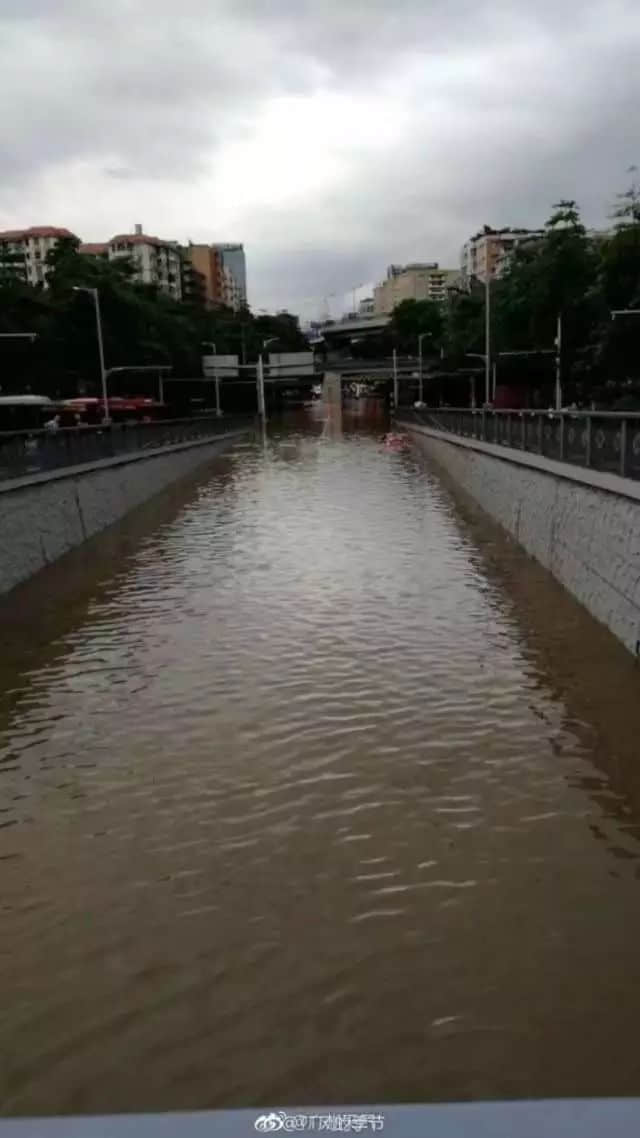 我們實名要求將今日定為“廣州海洋日”