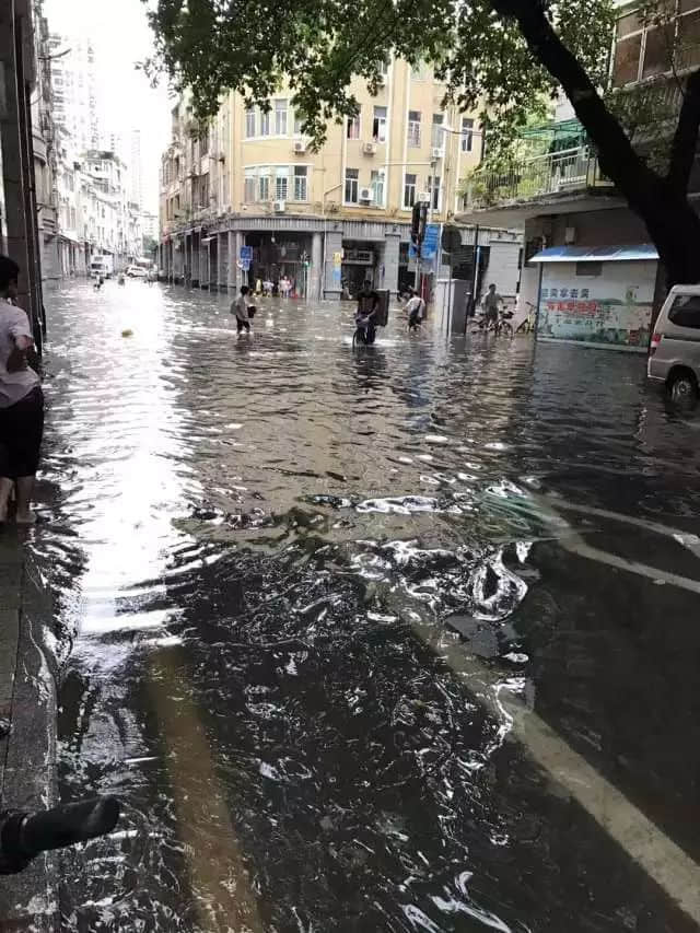 我們實名要求將今日定為“廣州海洋日”