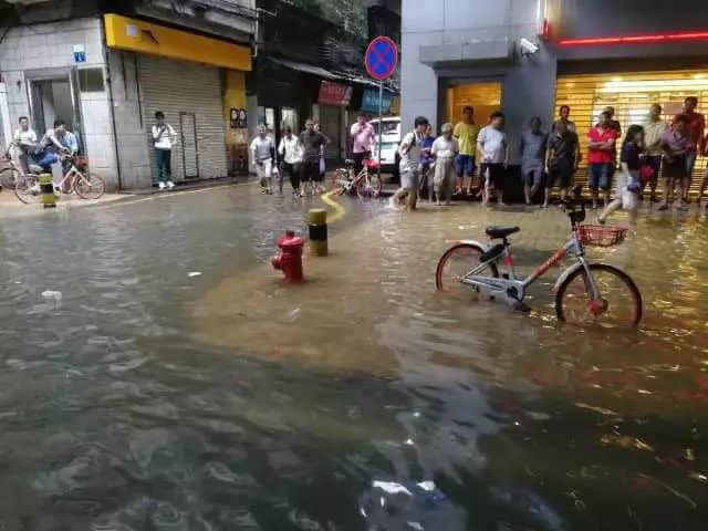 我們實名要求將今日定為“廣州海洋日”