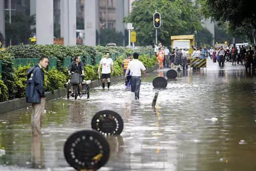 落湯雞一樣嘅廣州人，仲比唔上一條魚(yú)