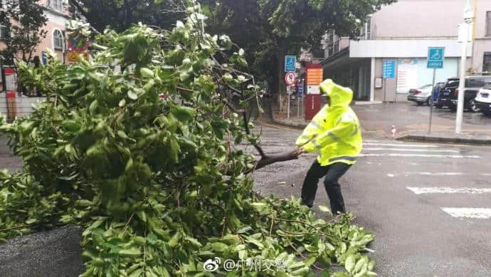 一個(gè)臺(tái)風(fēng)山竹，令我看清廣東人的真面目！