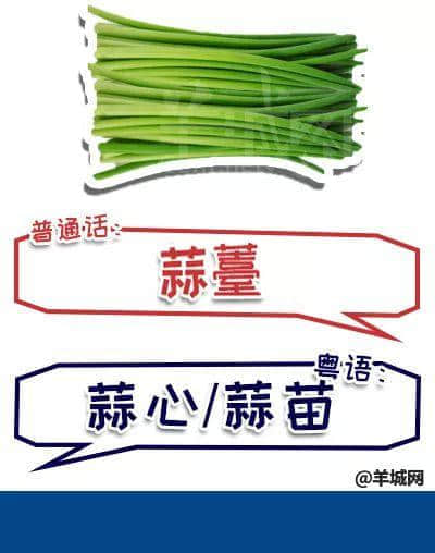 系唔系正宗廣府人，行個街市就知道曬！