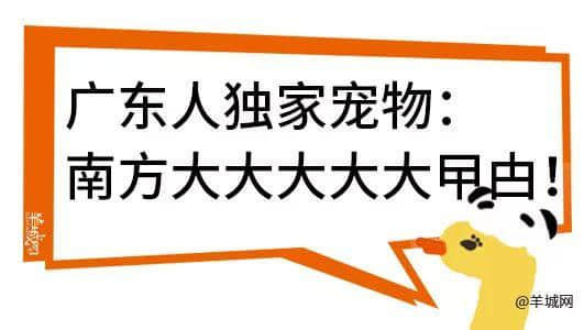 廣州，一座靠天氣上熱搜嘅佛系城市｜一句話神總結(jié)廣州