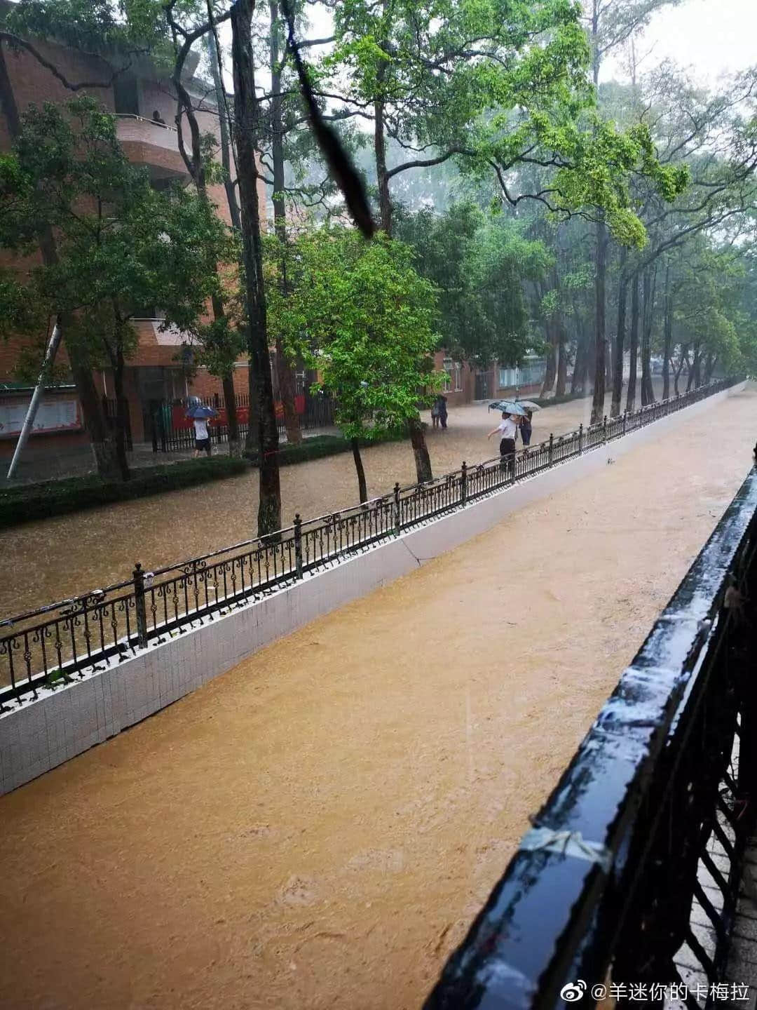 熱烈慶祝，廣州暴雨+熱搜包月套餐生成！