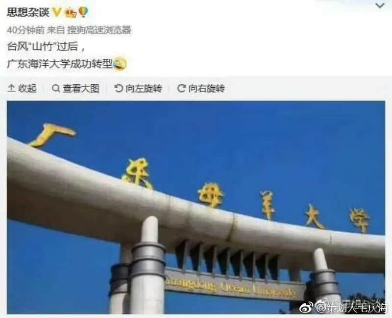 在湛江，我們找回廣州失去的隱秘角落