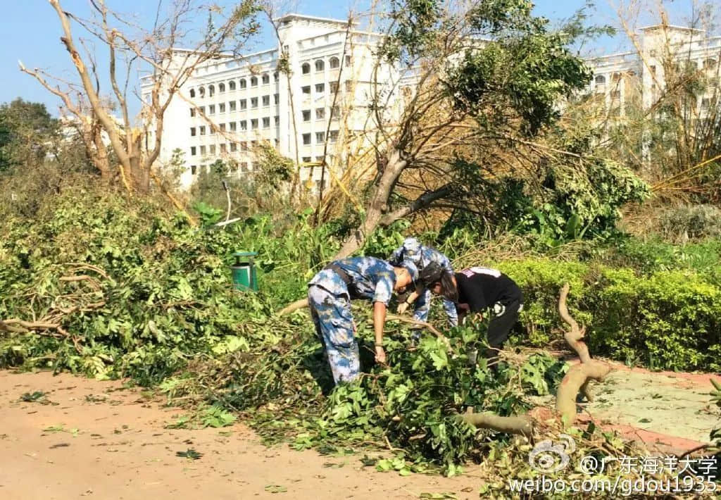 在湛江，我們找回廣州失去的隱秘角落