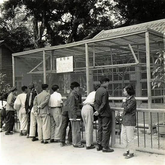 廣州動物園，這次真的要非搬不可了嗎？