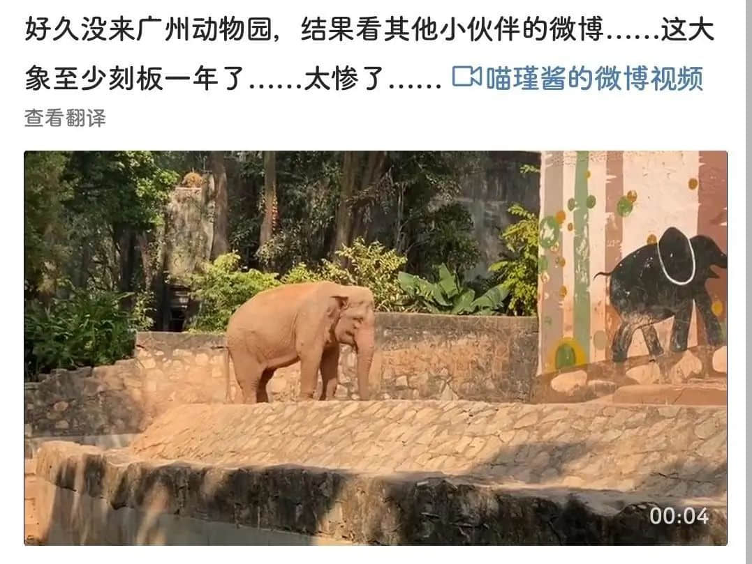 廣州動物園，這次真的要非搬不可了嗎？