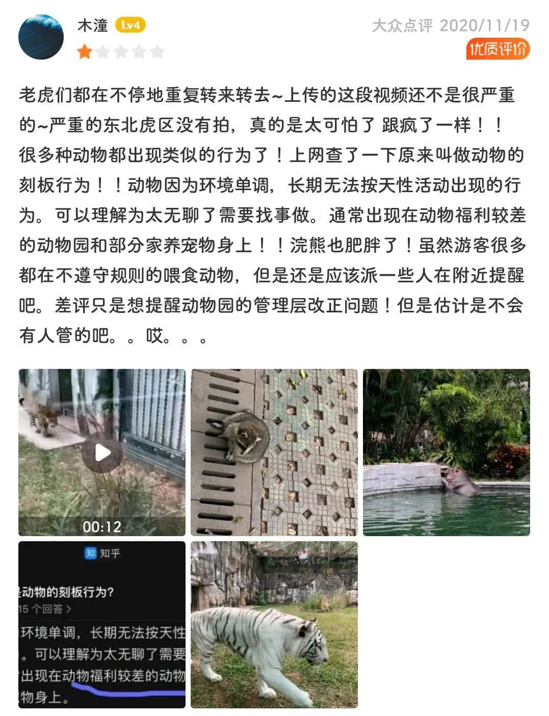 廣州動物園，這次真的要非搬不可了嗎？