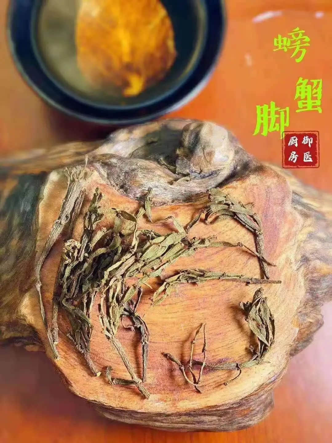 驚蟄，為何身邊的蛇蟲鼠蟻多了起來？