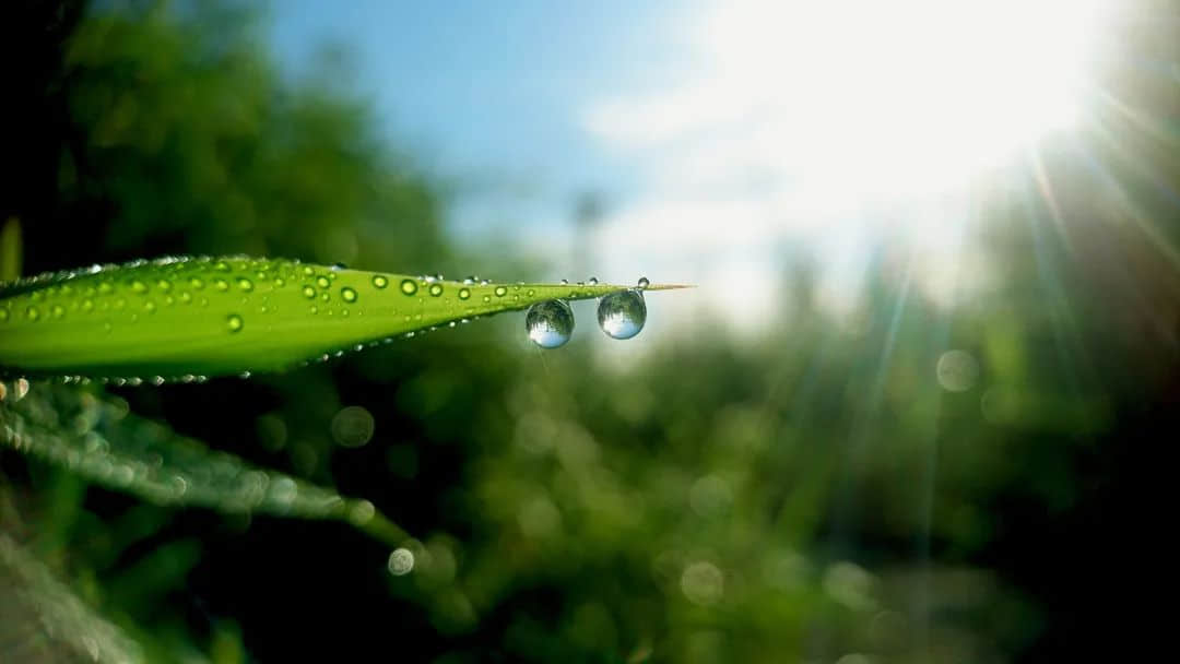 處暑到！又熱又干的天氣該喝什么湯？