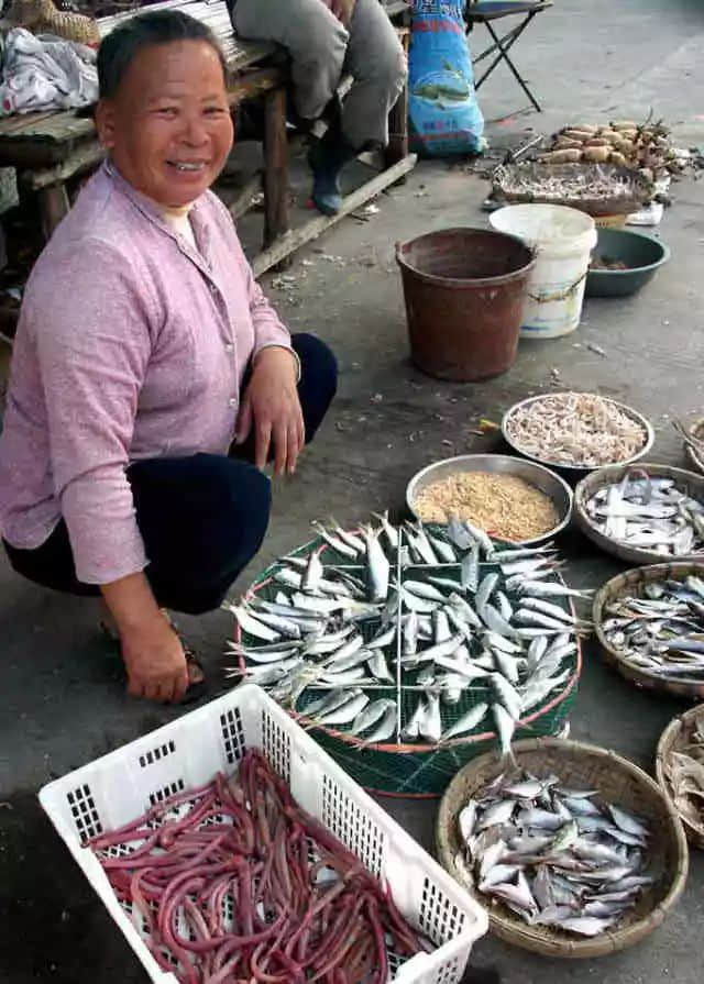 民以食為天（莫依慈）