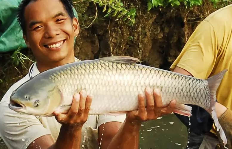 這些米其林看不上的地道廣東美食，你試過多少道？