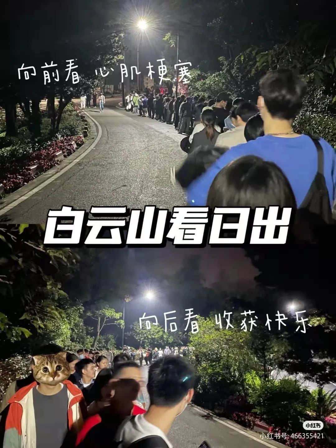 拆掉“笨豬跳”的白云山，正成為廣州年輕人凌晨三點夜爬圣地