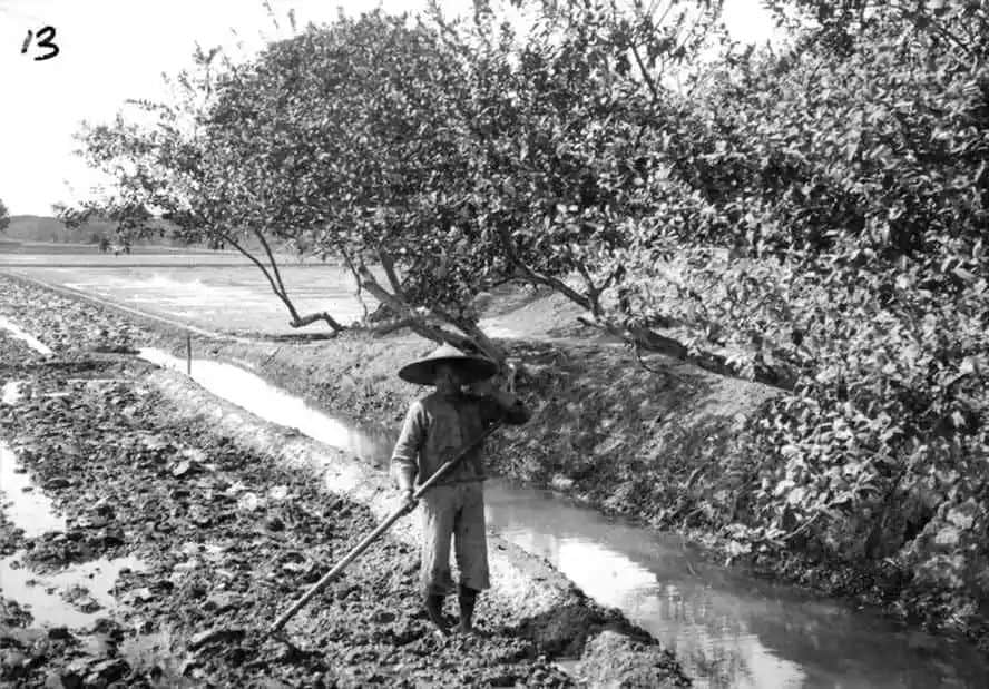 遠去的水鄉(xiāng)，多少悲歡講不完