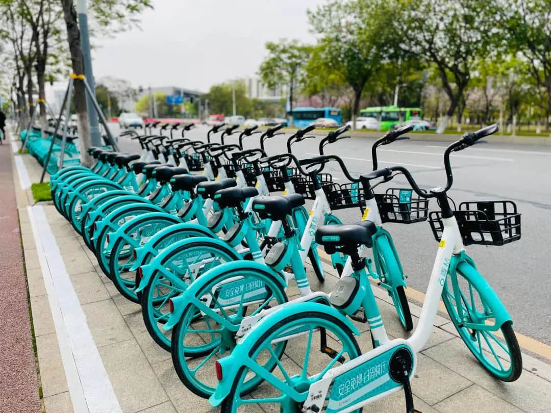 時(shí)隔三十年，海珠橋再現(xiàn)浩浩蕩蕩的單車大軍……