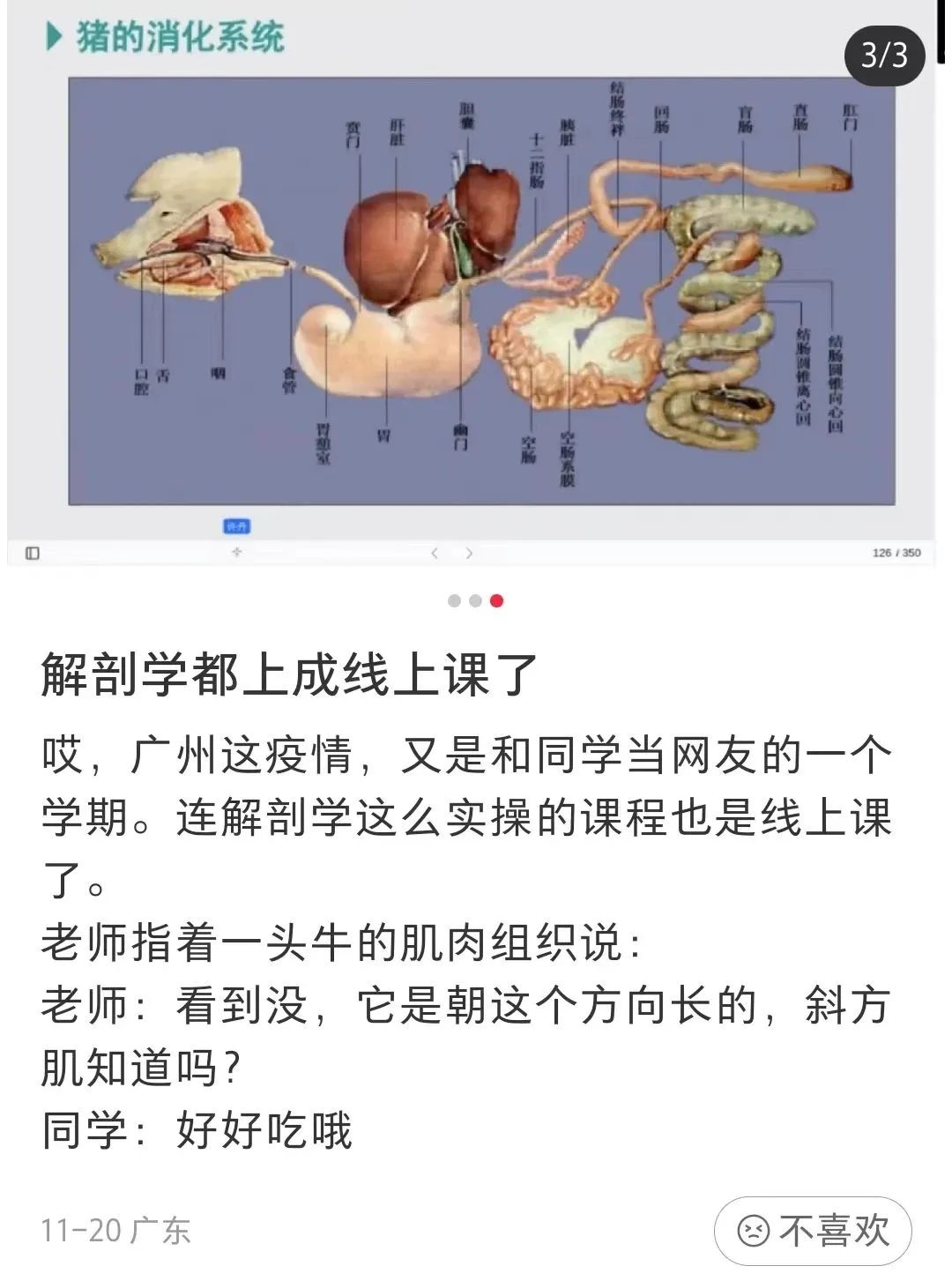 疫情下的大學(xué)生：封了，也“瘋”了？