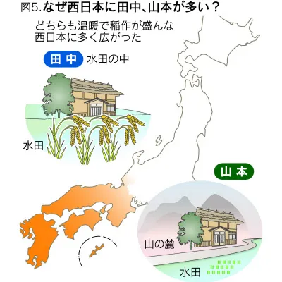 長崎舞淺靜小姐和伊三南柳先生的愛情，只有廣東人才懂