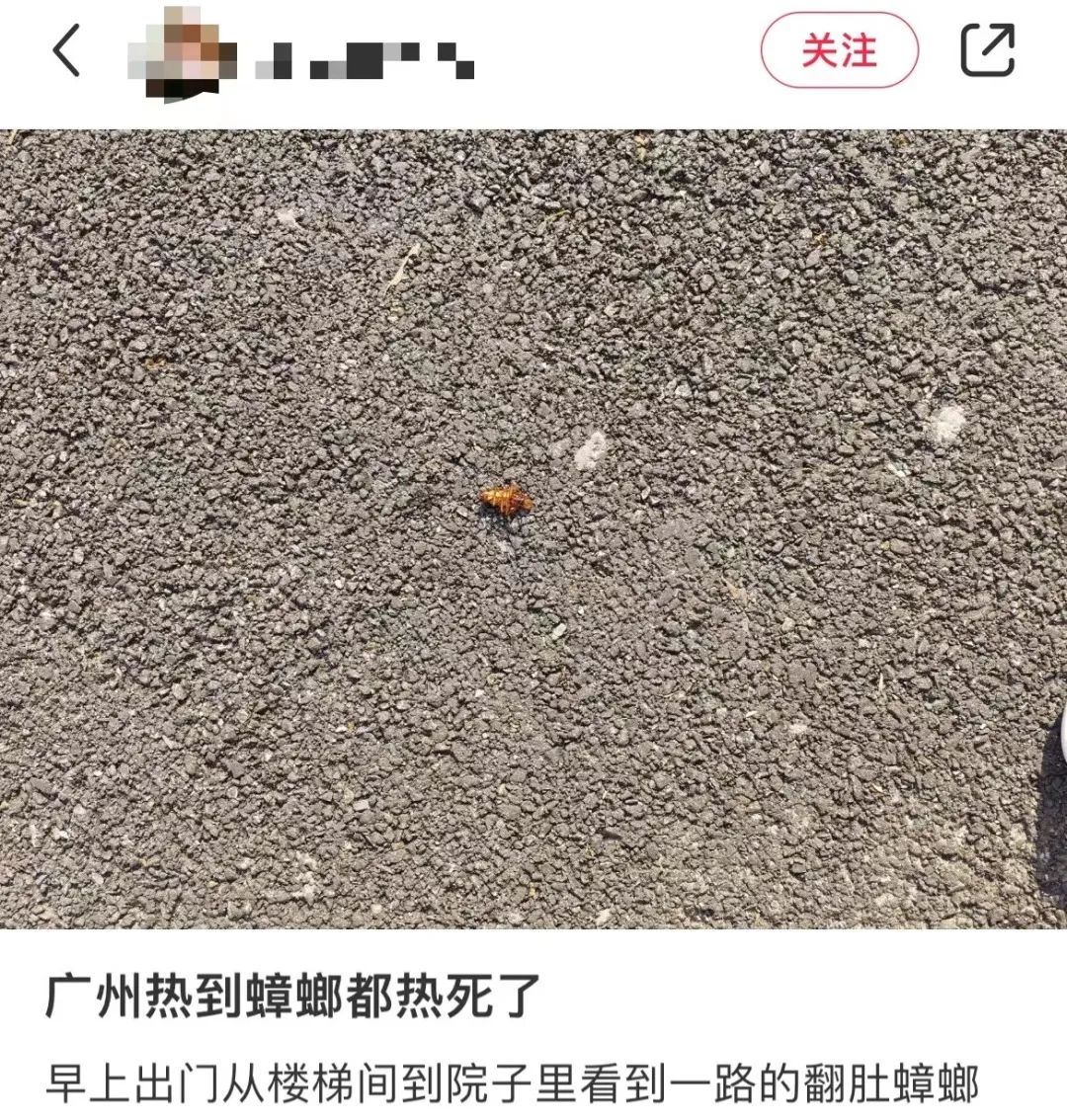 這兩天的廣州，只有國父孫中山敢在戶外站那么久……