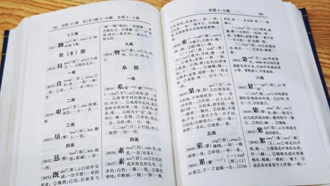 廣東人掛喺嘴邊卻經(jīng)常寫(xiě)錯(cuò)嘅粵語(yǔ)字，你寫(xiě)啱咗未？