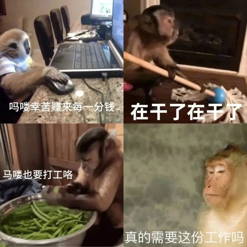 粵語為何稱猴子為馬騮，猴和馬怎么扯上關(guān)系的呢？