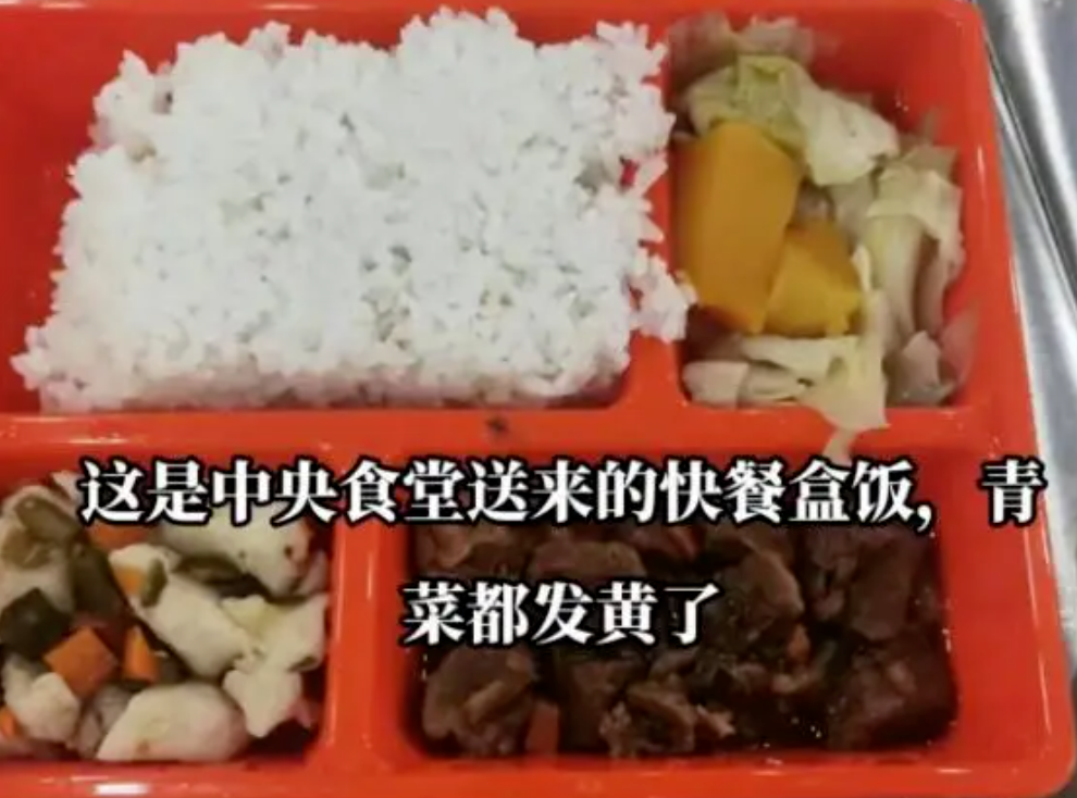 預制菜進學生飯?zhí)?，家長擔心的只是“科技與狠活”嗎？