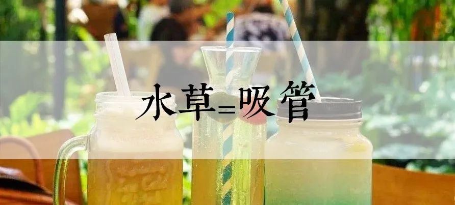 梁靜茹在廣州演唱會(huì)講一口地道粵語，有什么好驚訝的？