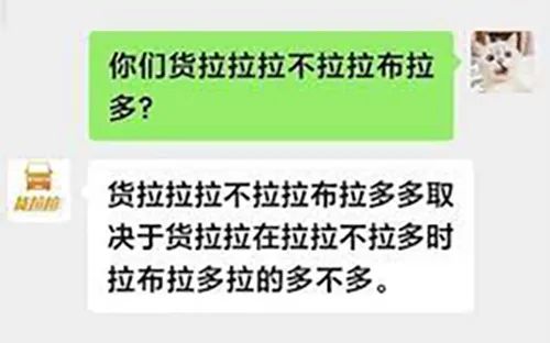 廣東開通寵物專線，你愿意和貓狗同坐一車嗎？