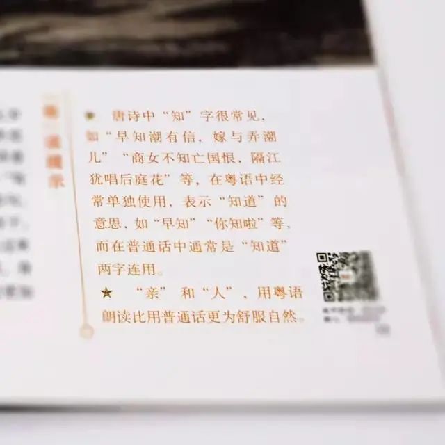 阿媽教我：熟讀唐詩三百首，唔會吟詩也會偷