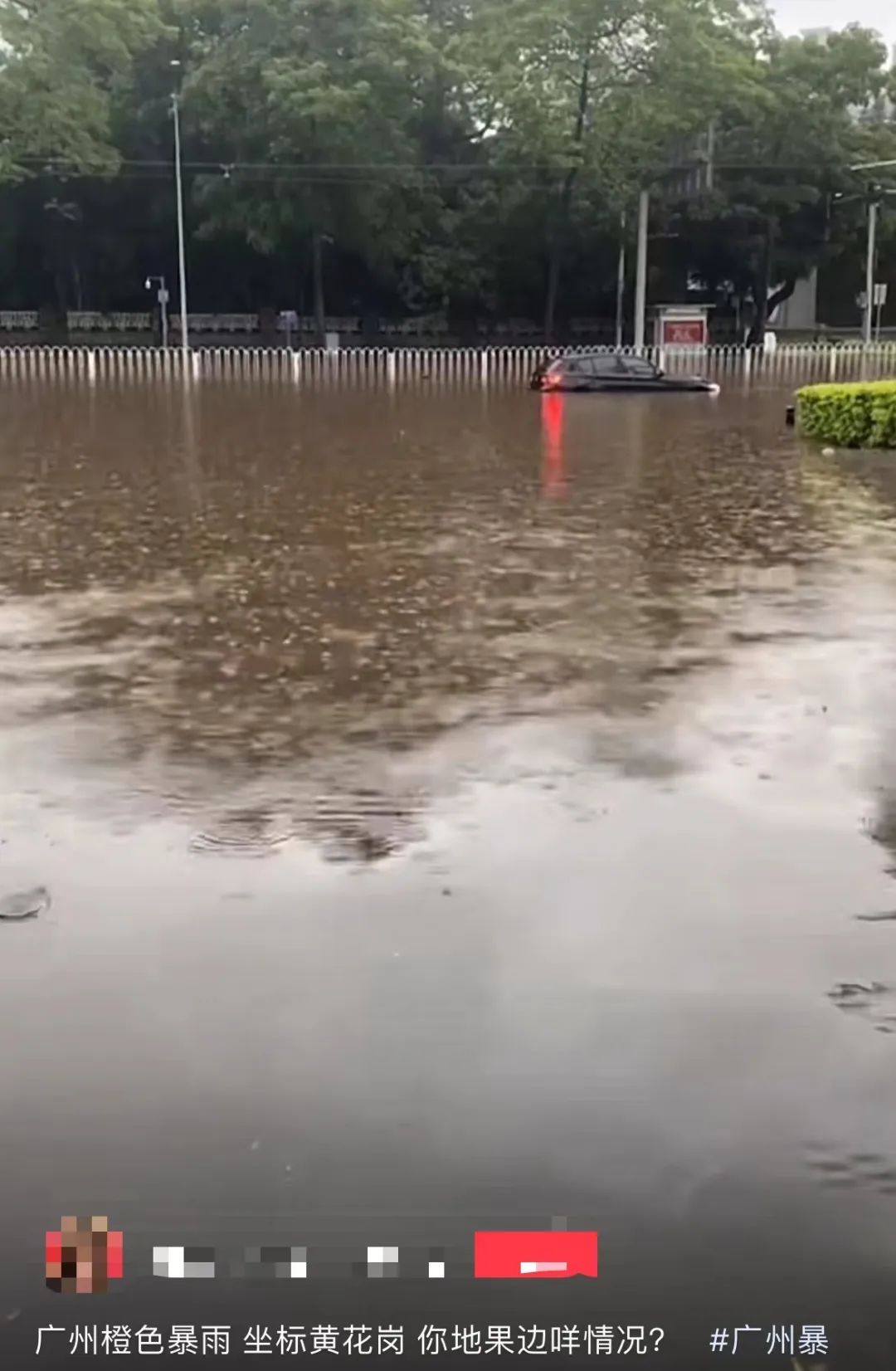 暴雨下的廣州：天河有河，番禺有魚